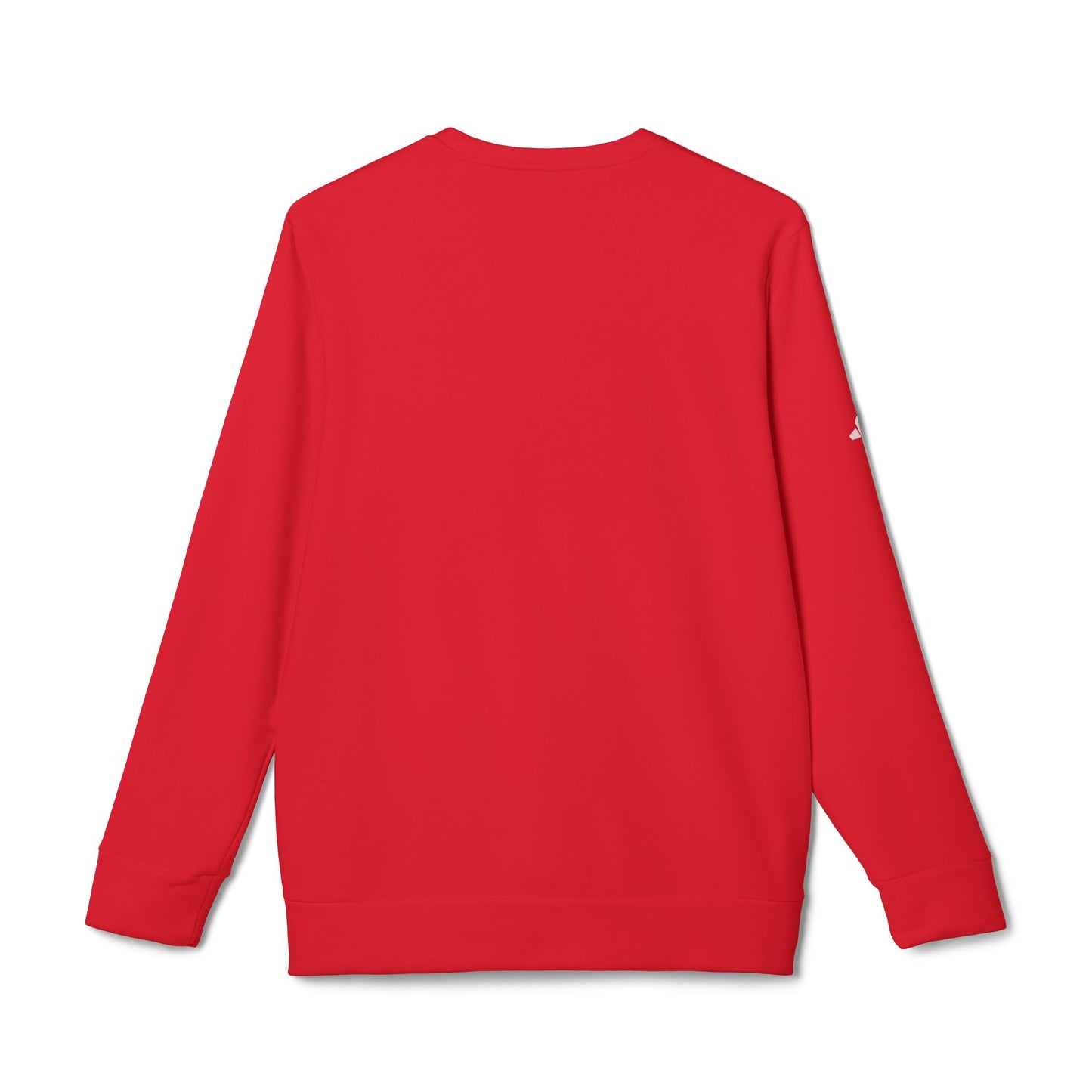 Unisex Fleece Youth Christian Sweatshirts | Berakhah LLC